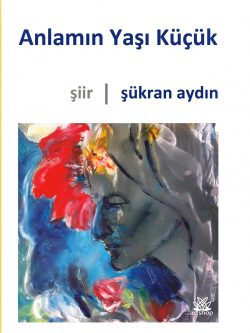 Anlamın Yaşı Küçük
