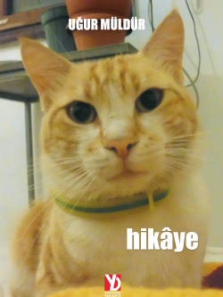 Hikâye (e-kitap)