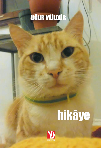 Hikâye (e-kitap)