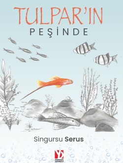Tulpar'ın Peşinde